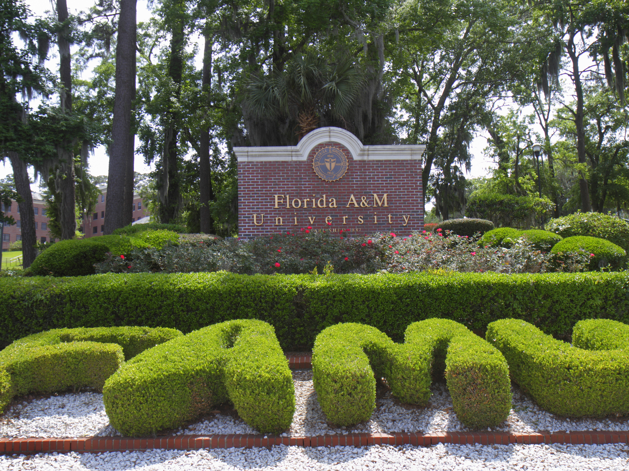 Florida A&M University announced a "transformative" donation earlier this month — but the school ceased contact with the donor after questions arose about the funds. Image shows shrubbery and landscaping around a large sign for the college in Tallahassee, Fla.