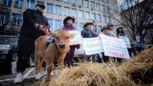 Farmers flood Bulgaria's capital protesting EU regulations, high energy costs